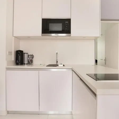 Sublime Et Neuf Fbg Saint Honore Apartment